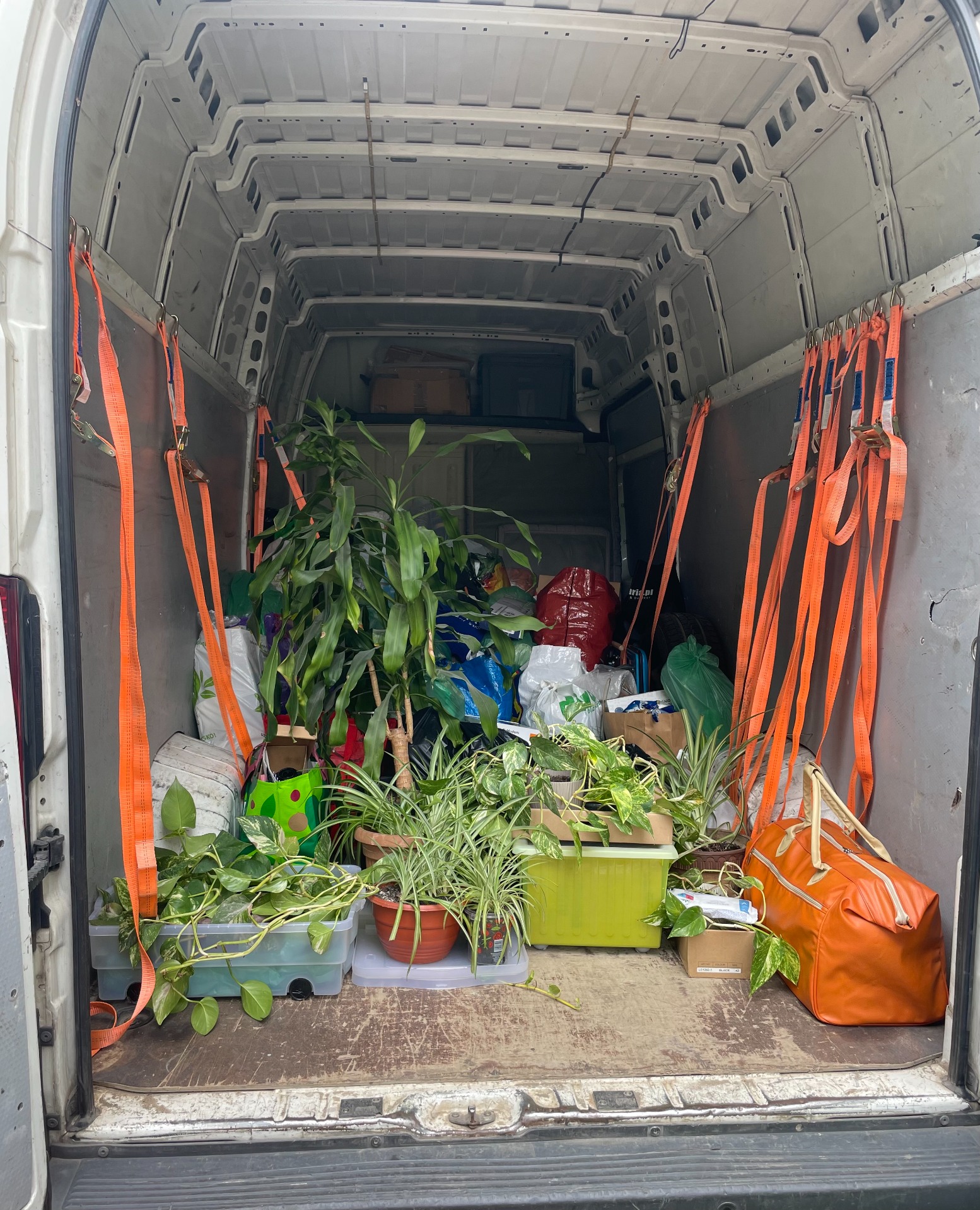Przeprowadzka Szczecin Starogard Gdański - transport roślin i mienia w busie.
